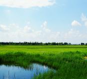 工程案例及产品-工程案例2